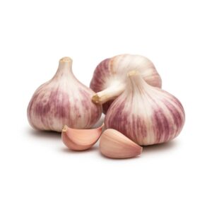 Küüslauk 'Germidour'